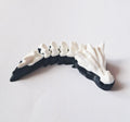 Flexi Dragon Ying&Yang