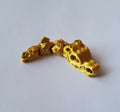 Flexi Dinosaur Gold